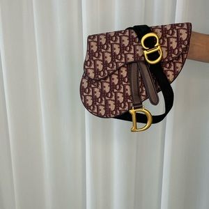 Dior Saddle Belt bag